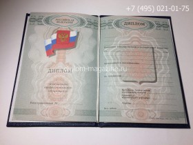 Диплом о начальном образовании 2008-2010 года