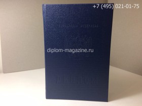 Диплом о начальном образовании 2008-2010 года