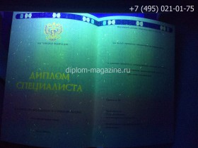 Диплом специалиста о высшем образовании 2014-2017 годов