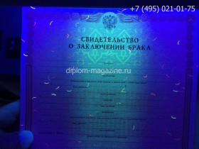 Свидетельство о браке 1998-2017 годов