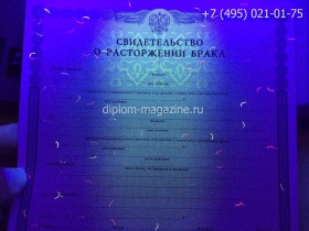 Свидетельство о разводе 1998-2017 годов