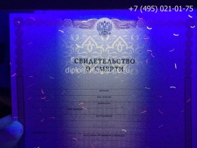 Свидетельство о смерти 1998-2017 годов