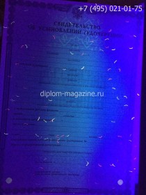 Свидетельство об усыновлении (удочерении) 1998-2017 годов