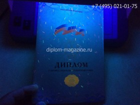 Диплом о профессиональной переподготовке 2013-2015 годов