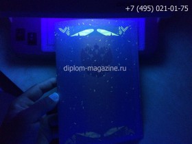 Диплом о высшем образовании с отличием 2010-2011 годов